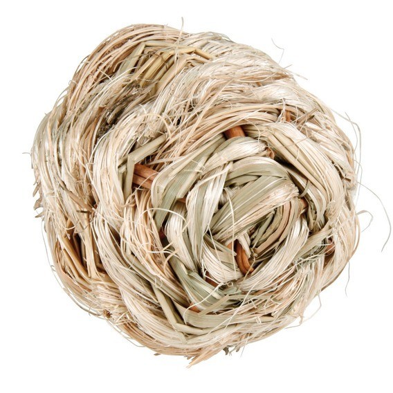 Abris de jardin acie