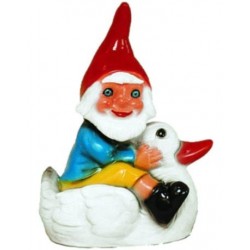 Nain de jardin sur un canard Nain de jardin sur un canard