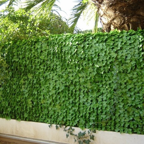 Haie artificielle feuilles lierre, Variante: Ht.1.5 x Lg.3 m