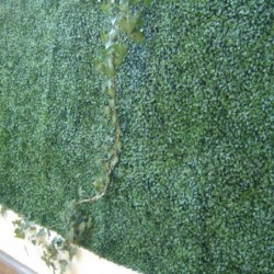 Buis artificiel en plaques