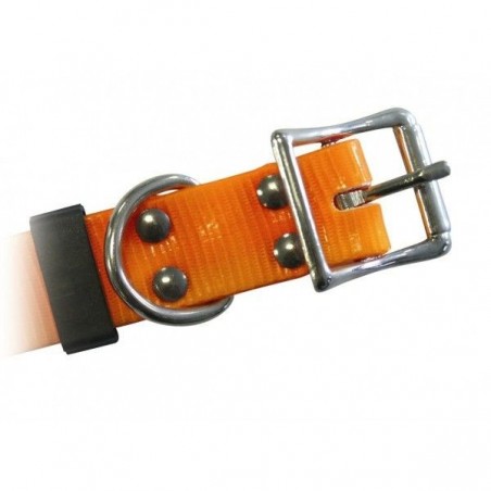 Collier de dressage Canicom sangle orange