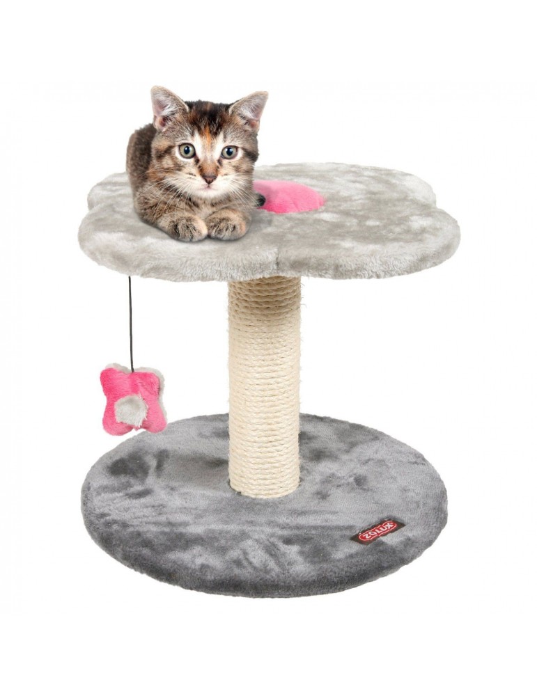 Arbre A Chat Anis Petite Taille Zolux Arbre A Chat Anis Petite Taille Zolux