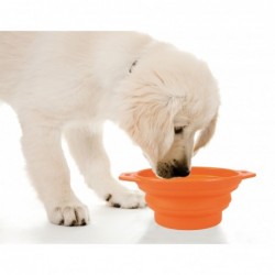 Bol pliable de voyage 1L pour chien