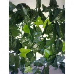 Feuillage Duo simple face H1.5xL3m