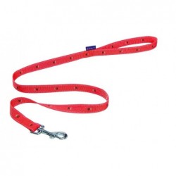 Laisse Baron nylon pour chien