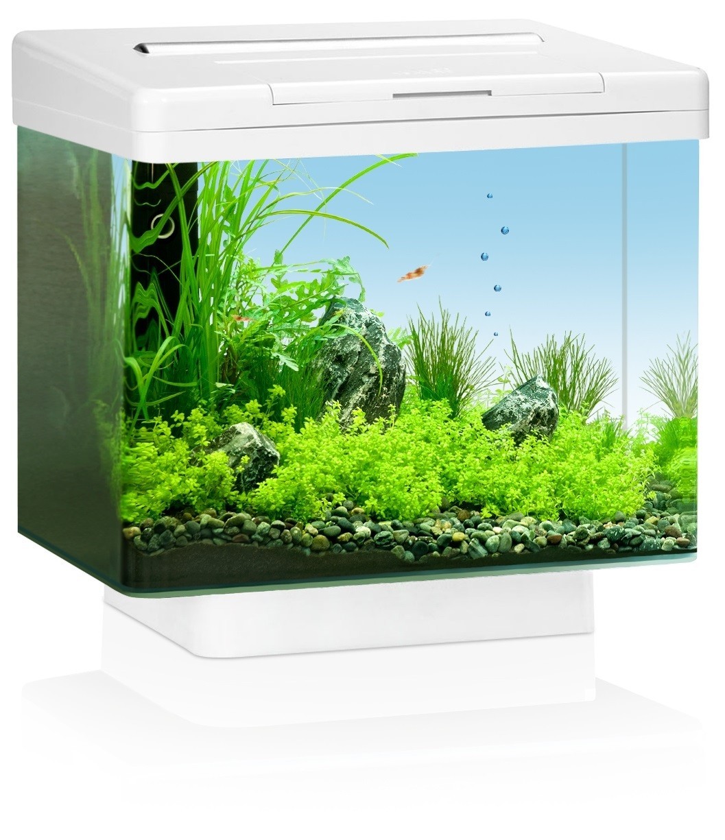 Aquarium Vio 40 Blanc