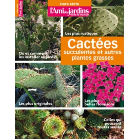 Cactus et plantes grasses