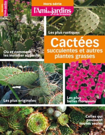 Cactus et plantes grasses