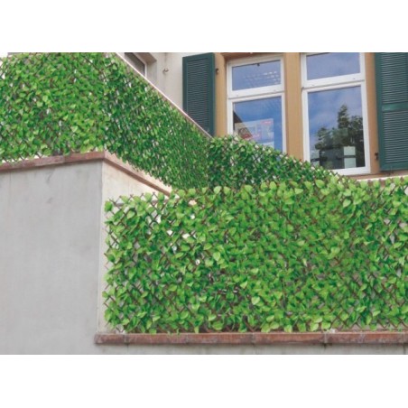 Brise-vue treillis feuilles de rosier 1x2 M