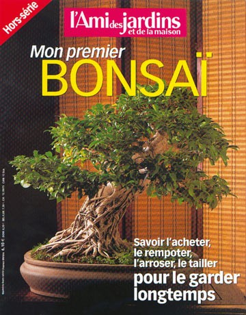 Mon premier Bonsaï