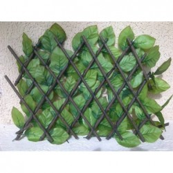 Brise-vue treillis feuilles de rosier 1x2 M