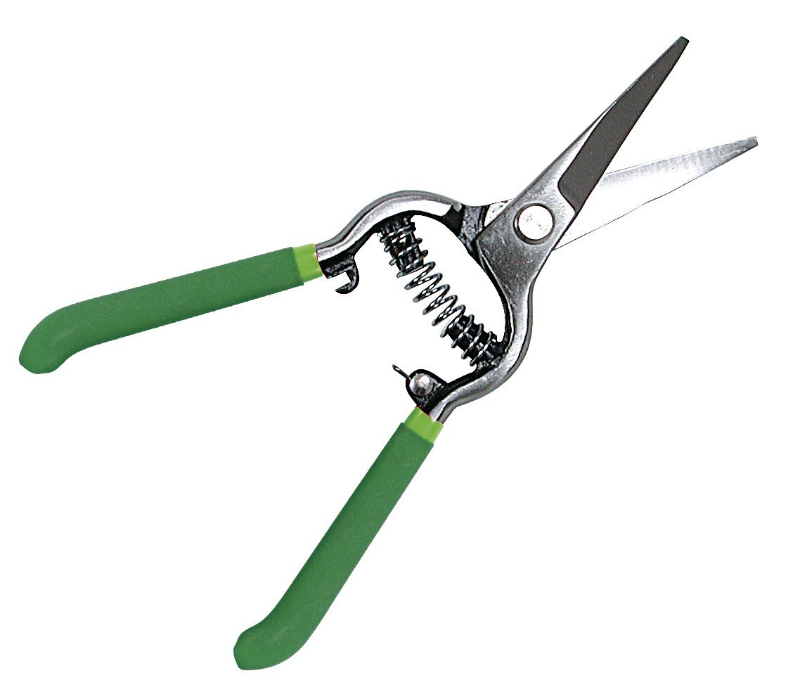 Sécateur 8'' lames droites acier forgé