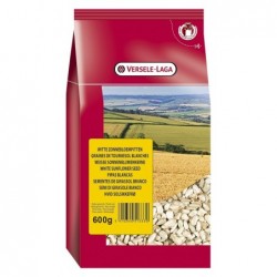 Tournesols blancs 600g Graines oiseaux Tournesols blancs 600g Graines oiseaux