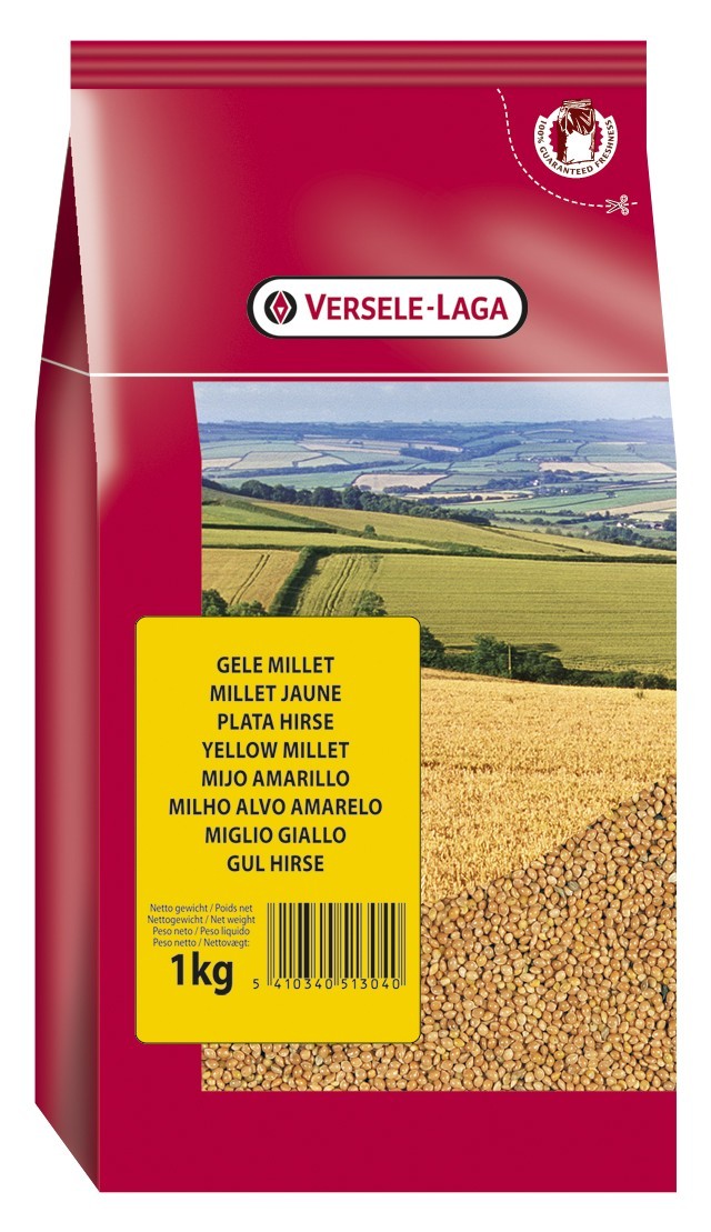 Millet Jaune 1Kg: Graines pour oiseaux