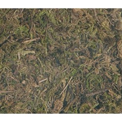 Matière pour nids: Mousse naturelle 100g