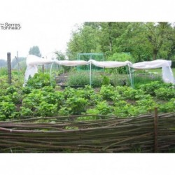 Serre de culture Chenille
