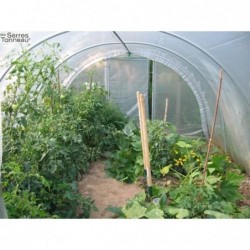 Serre maraîchère Optimum
