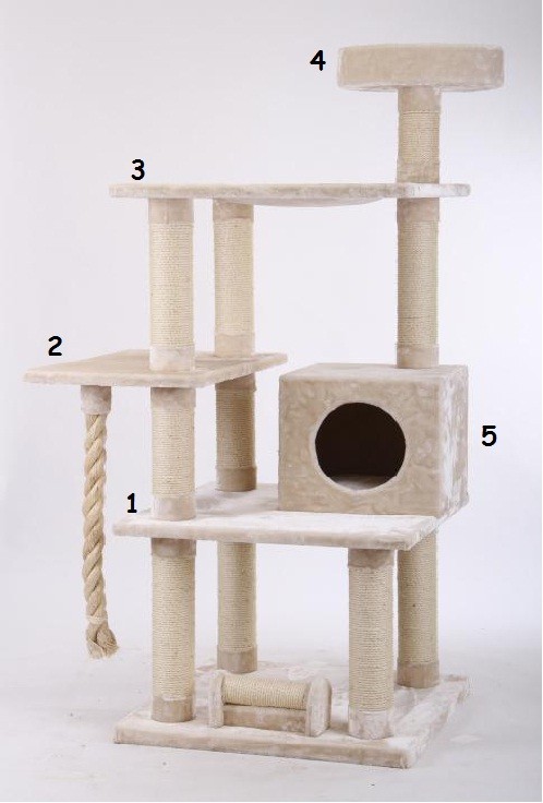 Arbre à chat Maine Coon \
