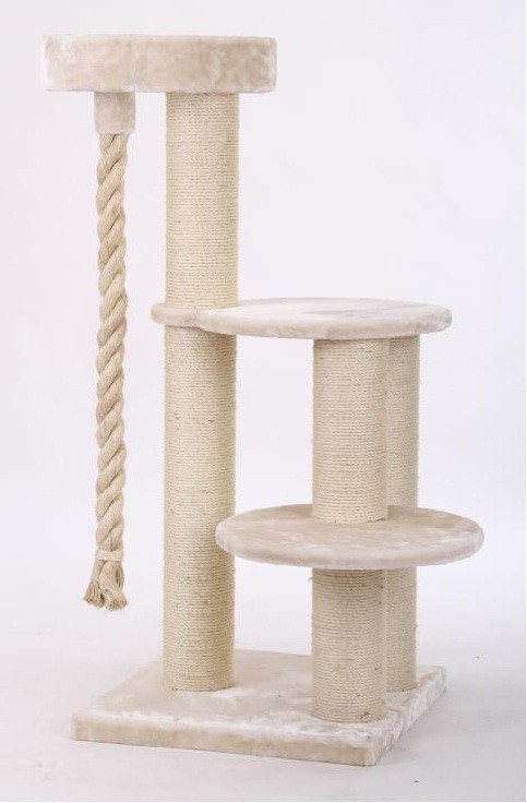 Arbre à chat Maine Coon \