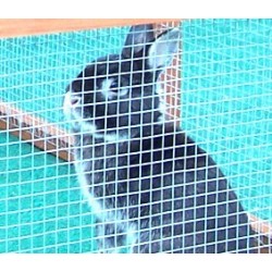 Enclos au sol grillagé 4/5 places 