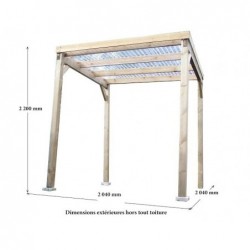 Carport autoclavé toit plat 2x2 m
