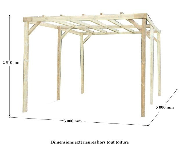 Carport toit plat sans couverture 3x5 m