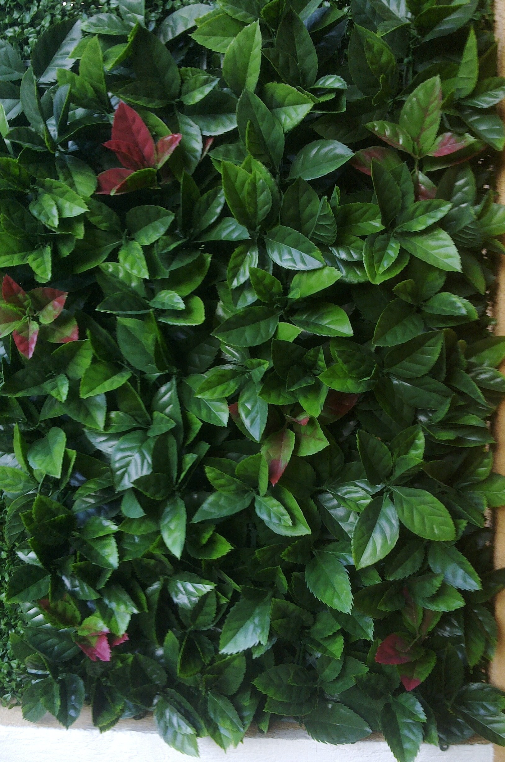 Plaque carré Red Robin dentelé 50x50 cm