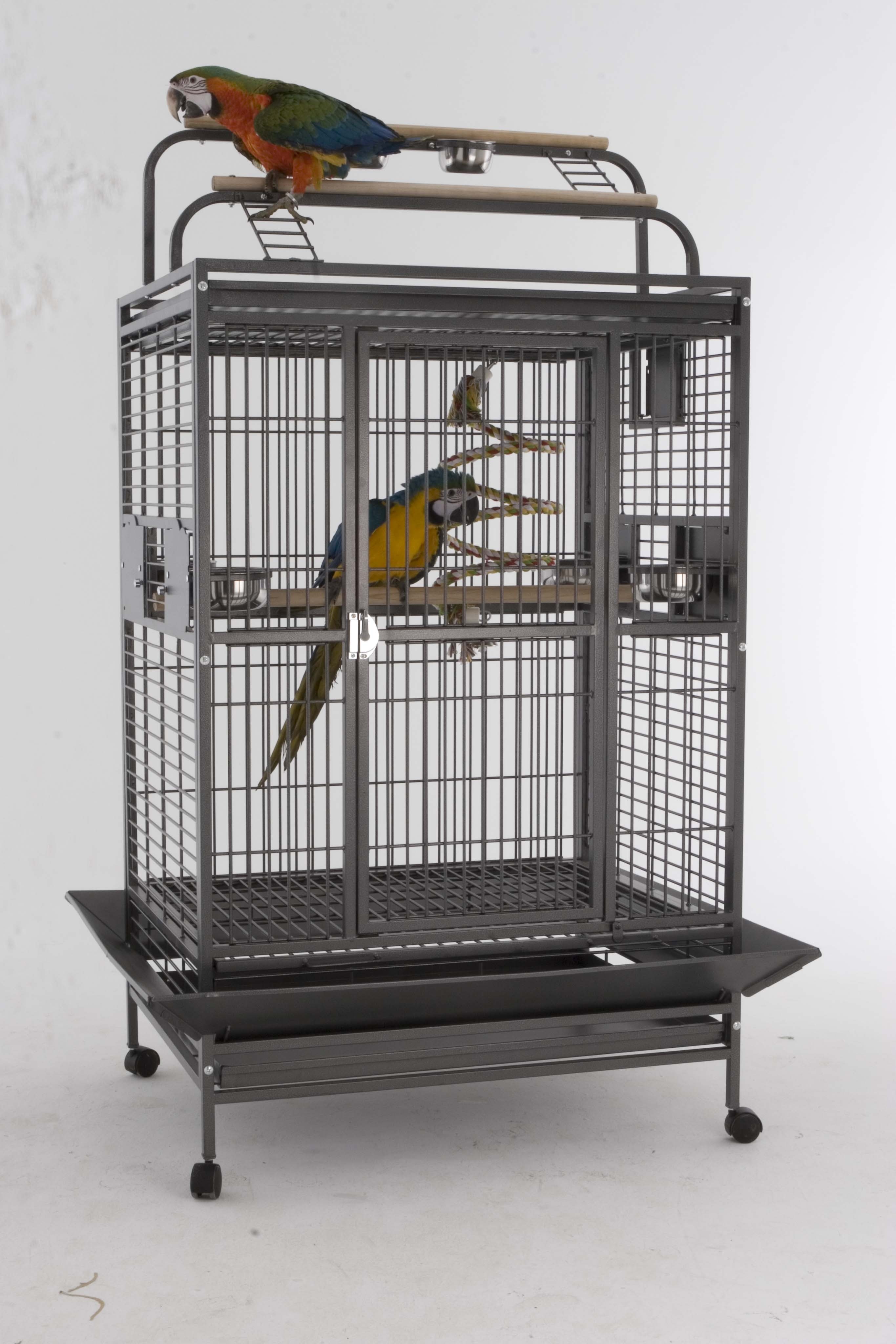 Cage pour perroquet Hacienda Gym Top