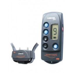 Canicom 200 NumAxes Collier de dressage