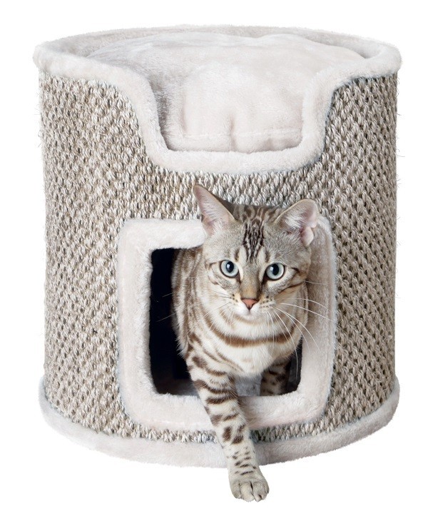 Arbre Chat Cm Arbre Chat Cm