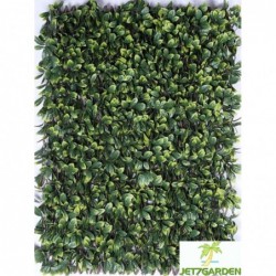 Treillis feuilles Troène doré 1 x 2 m