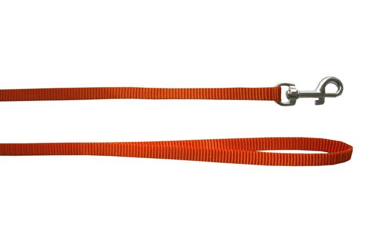 Laisse pour chien nylon unie Rex, Couleur: Orange, Taille: 1.5 cm x 1 m