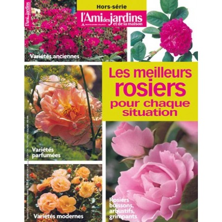 Les meilleurs rosiers