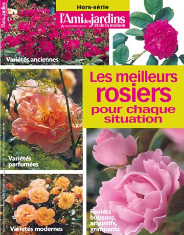 Les meilleurs rosiers