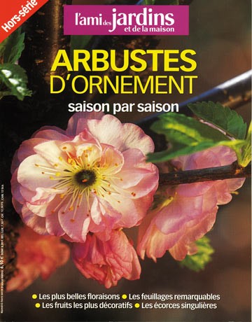 Arbustes d'ornement