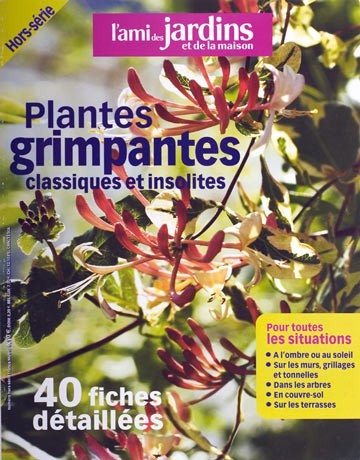 Plantes grimpantes