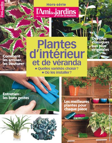 Les plantes d'intérieur et de véranda