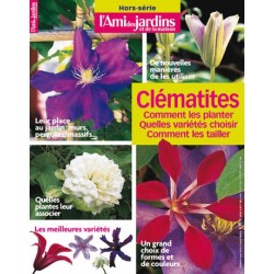Clématites Clématites