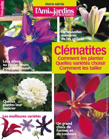 Clématites