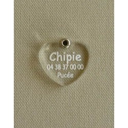Medaille pour chien transparente coeur Medaille pour chien transparente coeur