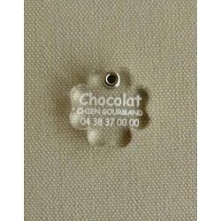 Medaille pour chat transparente trèfle