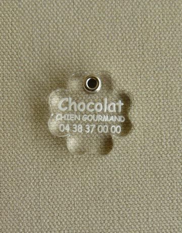 Medaille pour chat ou chien transparente trèfle, Transparente: Incolore