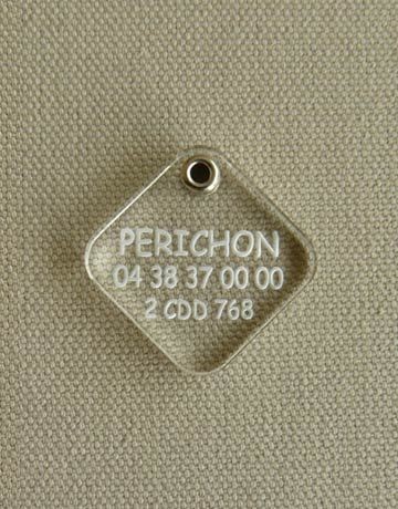 Medaille chien chat transparente carrée, Transparente: Incolore