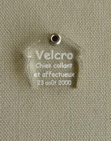 Medaille pour chien transparente niche, Transparente: Incolore