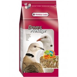 Tourterelles Prestige