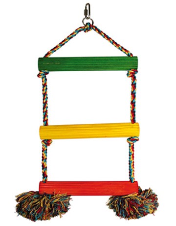 Jouet échelle pour Perroquets