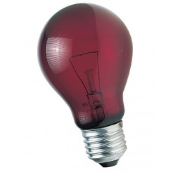 Ampoule 60 W Rouge lumière de nuit pour reptiles