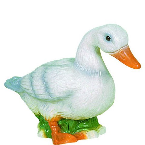 Canard blanc