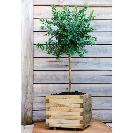 Jardinière carrée Stockholm Burger en bois de pin