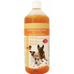 Shampooing doux abricot-miel